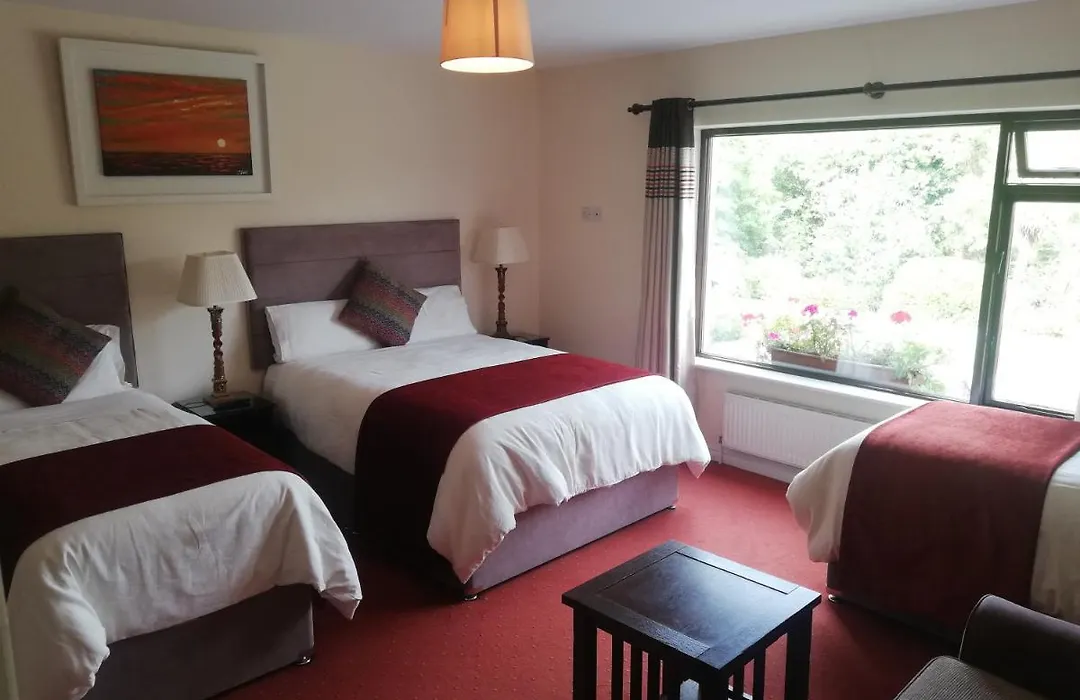 O'Sheas Ceol Na Habhann B&B-1